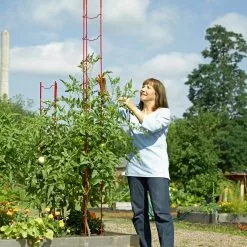 GSC Stacking Tomato Ladders, Set Of 6