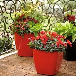 GSC Viva Square Self-Watering Rolling Planter, 14" Diameter 8 GSC Viva Square Self-Watering Rolling Planter, 14" Diameter -Plant Supports Shop 8586699 982 tif