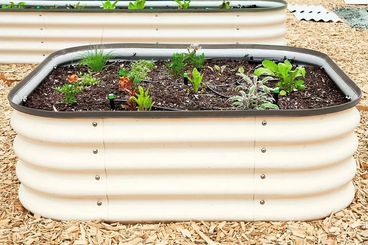 GSC Birdies™ Modular Metal Raised Bed 12 GSC Birdies™ Modular Metal Raised Bed - Image 10