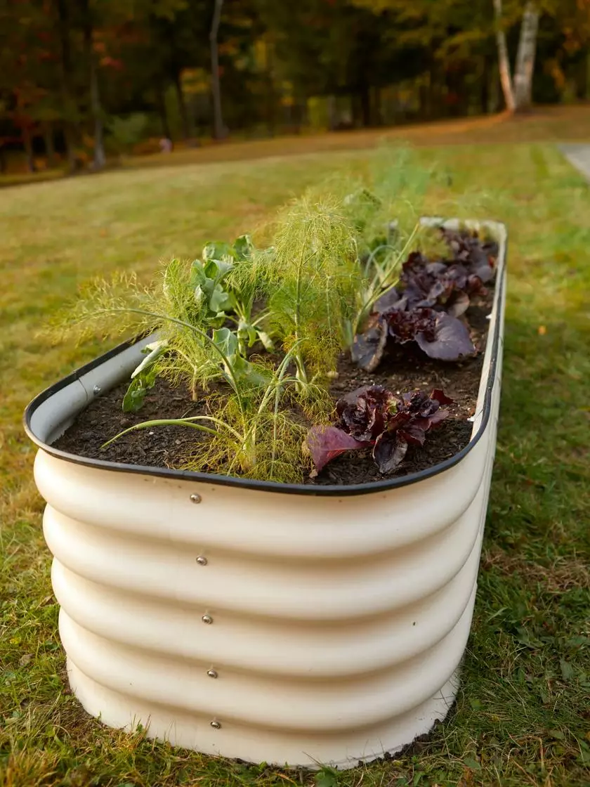 GSC Birdies™ Modular Metal Raised Bed 5 GSC Birdies™ Modular Metal Raised Bed - Image 3