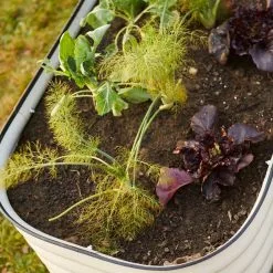 GSC Birdies™ Modular Metal Raised Bed 19 GSC Birdies™ Modular Metal Raised Bed -Plant Supports Shop 8586930 6019 tif