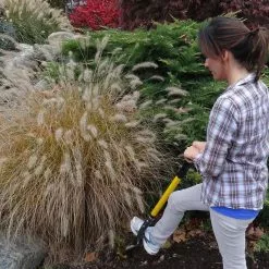 GSC Spear Head Spade® -Plant Supports Shop 8586970 003V tif