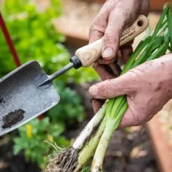 GSC Gardener's Lifetime Trowel -Plant Supports Shop 8586972 3286 tif