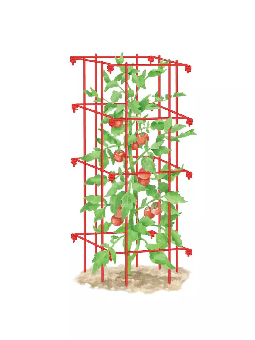GSC Tomato Cage, Single 3 GSC Tomato Cage, Single