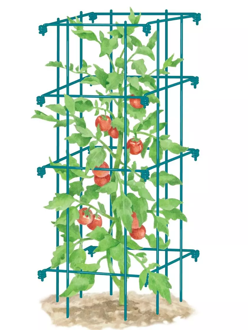GSC Tomato Cage, Single 5 GSC Tomato Cage, Single - Image 3