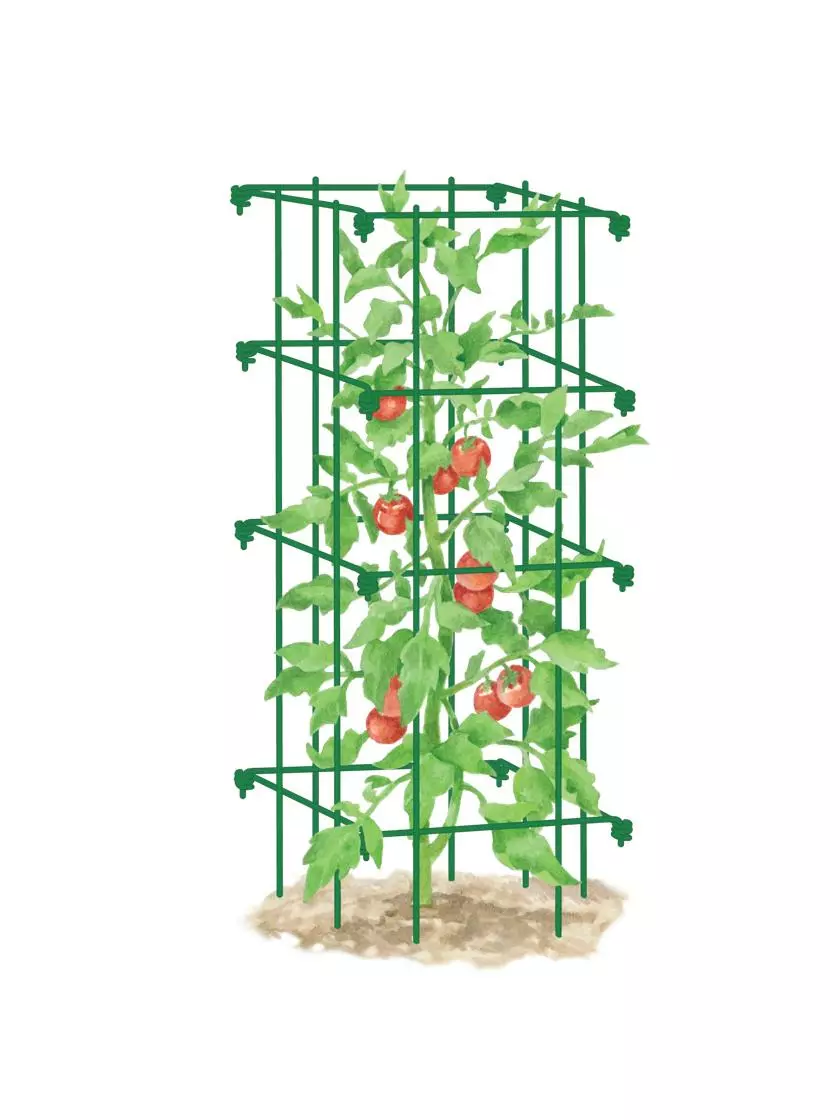 GSC Tomato Cage, Single 6 GSC Tomato Cage, Single - Image 4