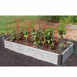 GSC Pepper And Eggplant Cages, Set Of 3 -Plant Supports Shop 8587048 6008 3 4