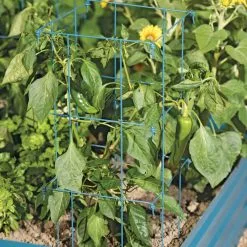 GSC Pepper And Eggplant Cages, Set Of 3 -Plant Supports Shop 8587048 9792 tif