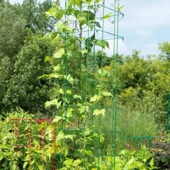 GSC Bean Tower