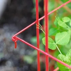 GSC Tall Expandable Pea Trellis -Plant Supports Shop 8587061 010 tif