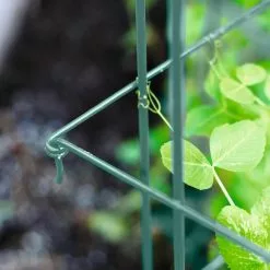 GSC Tall Expandable Pea Trellis -Plant Supports Shop 8587061 011 tif 1