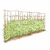 GSC Expandable Pea Trellis 2 GSC Expandable Pea Trellis -Plant Supports Shop 8587061 PeaFence Red 001E tif