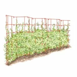 GSC Expandable Pea Trellis