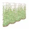 GSC Tall Expandable Pea Trellis 1 GSC Tall Expandable Pea Trellis -Plant Supports Shop 8587062 0001 RED tall expandable pea trelis tif