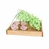 GSC Medium Cucumber Trellis -Plant Supports Shop 8587081 CukeTrellis M Grn fl 001E tif