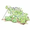 GSC Large Cucumber Trellis 1 GSC Large Cucumber Trellis -Plant Supports Shop 8587082 CukeTrellis L Blk 001E tif
