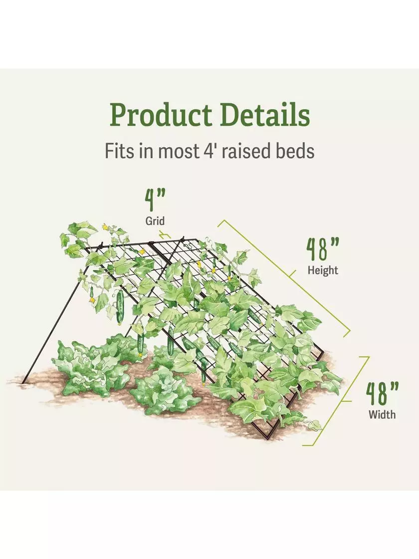 GSC Large Cucumber Trellis 5 GSC Large Cucumber Trellis - Image 3