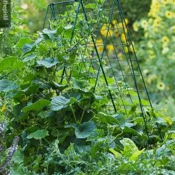 GSC Deluxe Cucumber Trellis