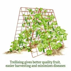 GSC Deluxe Cucumber Trellis -Plant Supports Shop 8587083 2
