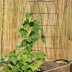 GSC Wire A-Frame Trellis