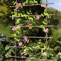 GSC Jardin Ladder Trellis -Plant Supports Shop 8587107 083 tif