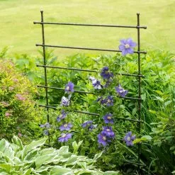 GSC Jardin Ladder Trellis