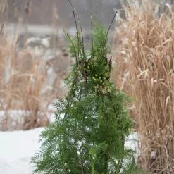 GSC Jardin Pot Trellis -Plant Supports Shop 8587120 009 tif