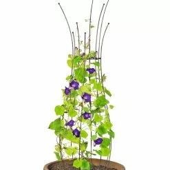 GSC Jardin Pot Trellis -Plant Supports Shop 8587120 1006 tif