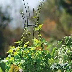 GSC Jardin Pot Trellis -Plant Supports Shop 8587120 5010 tif