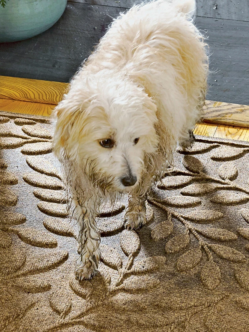 GSC Laurel Leaf Water Glutton Runner Mat, 36" X 84" 4 GSC Laurel Leaf Water Glutton Runner Mat, 36" X 84" - Image 2