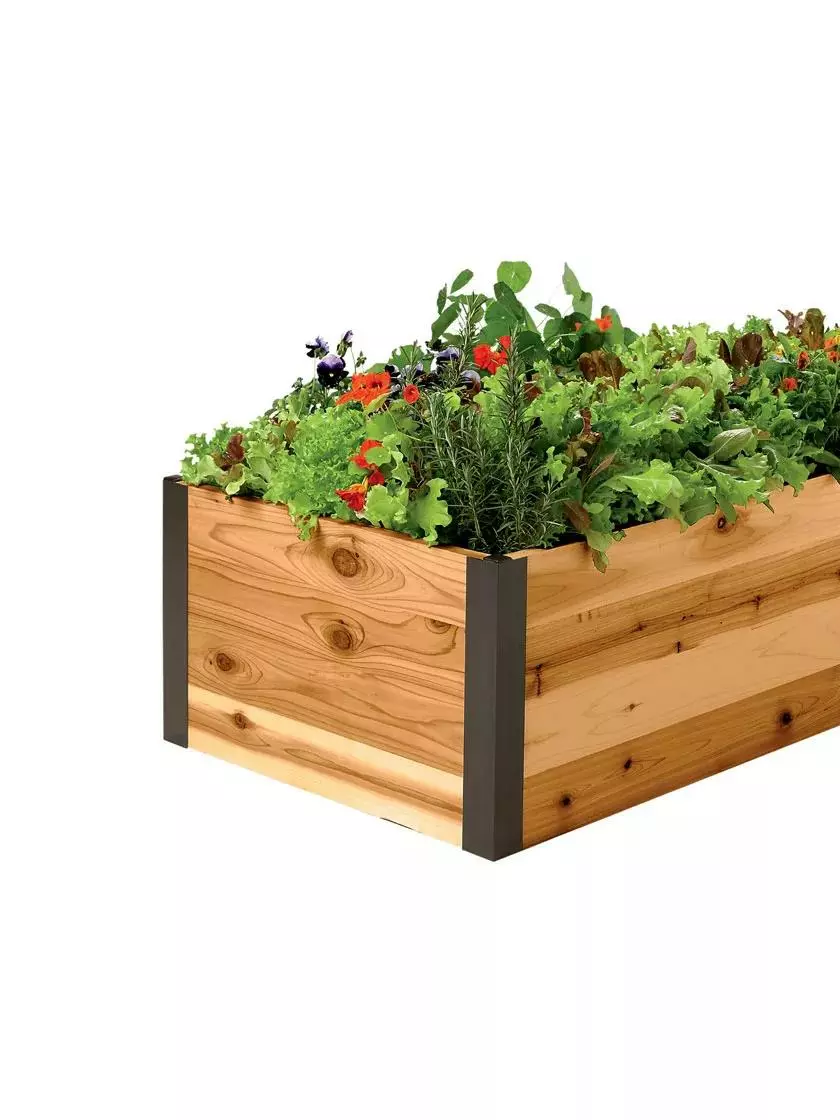 GSC Deep Root Raised Beds, 14" Deep 2' Wide 5 GSC Deep Root Raised Beds, 14" Deep 2' Wide - Image 3