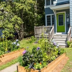 GSC Zenith Folding Garden Supports, Set Of 2 -Plant Supports Shop 8587807 0801 tif