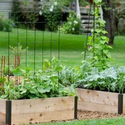 GSC Deep Root Raised Beds, 14" Deep 4' Wide -Plant Supports Shop 8587812 7054 tif