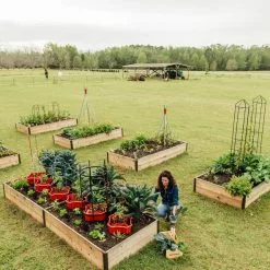 GSC Deep Root Raised Beds, 14" Deep 4' Wide -Plant Supports Shop 8587813 505 tif