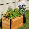 GSC Elevated Raised Bed, 2' X 4' -Plant Supports Shop 8587822 675 tif