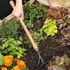 GSC Gardener's Lifetime Raised Bed Cultivator 9 GSC Gardener's Lifetime Raised Bed Cultivator -Plant Supports Shop 8587960 0687 tif