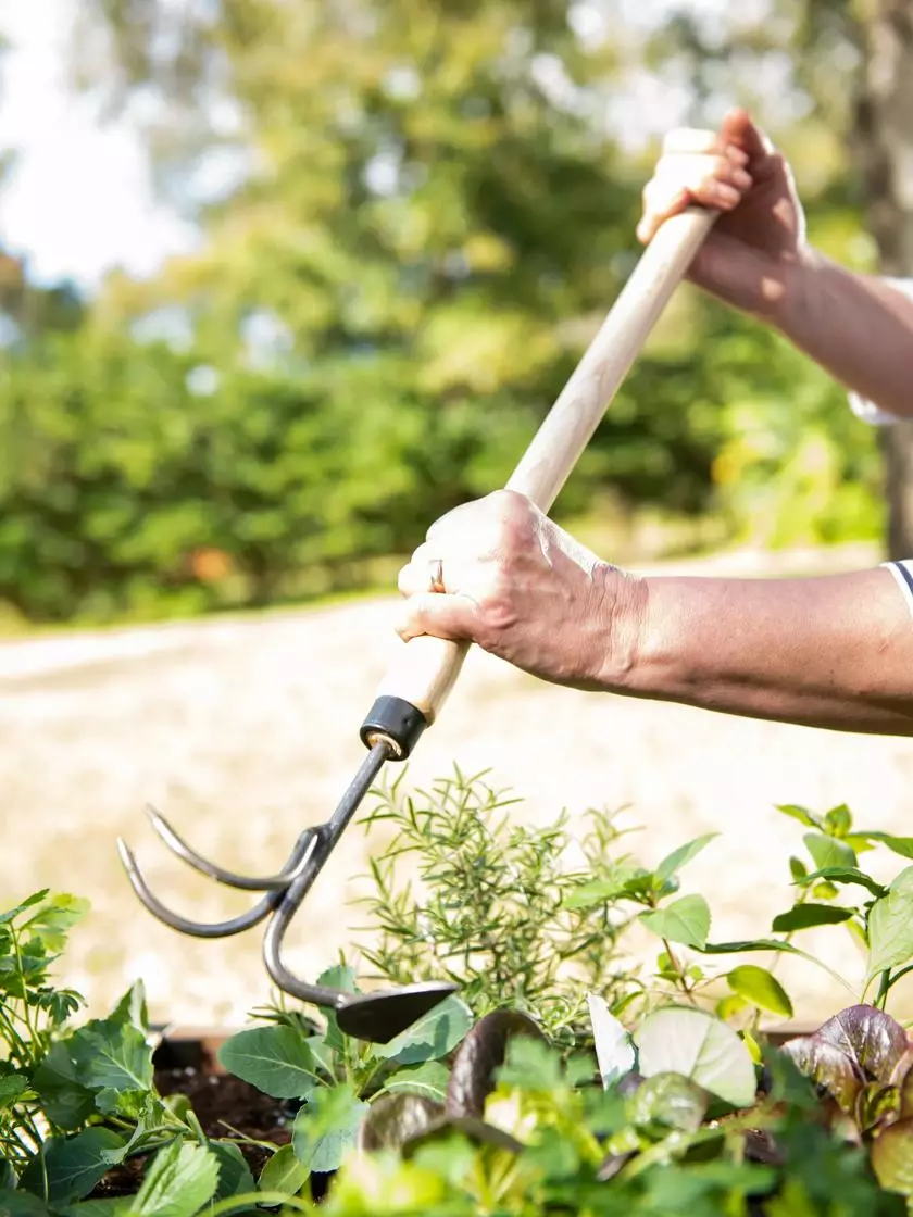 GSC Gardener's Lifetime Raised Bed Cultivator 6 GSC Gardener's Lifetime Raised Bed Cultivator - Image 4