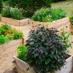 GSC Farmstead Cedar Raised Garden Beds, 3' -Plant Supports Shop 8588143 09V tif