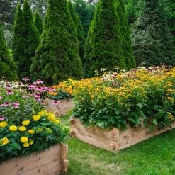 GSC Farmstead Cedar Raised Garden Beds, 3'