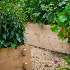 GSC Farmstead Cedar Raised Garden Beds, 2' 18 GSC Farmstead Cedar Raised Garden Beds, 2' -Plant Supports Shop 8588144 10V tif