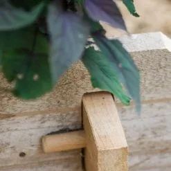 GSC Farmstead Cedar Raised Garden Beds, 2' 16 GSC Farmstead Cedar Raised Garden Beds, 2' -Plant Supports Shop 8588144 12V tif