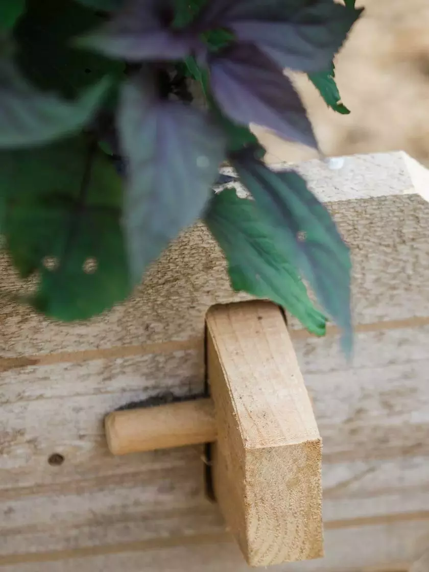 GSC Farmstead Cedar Raised Garden Beds, 2' 8 GSC Farmstead Cedar Raised Garden Beds, 2' - Image 6