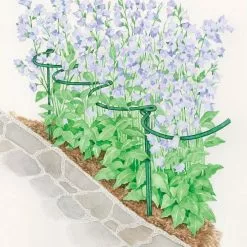 GSC Tidy Path Supports -Plant Supports Shop 8588403 003 1