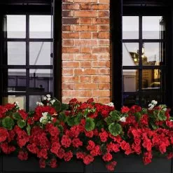 GSC Fairfield Self-Watering Window Box, 5’ 14 GSC Fairfield Self-Watering Window Box, 5’ -Plant Supports Shop 8588938 102V tif