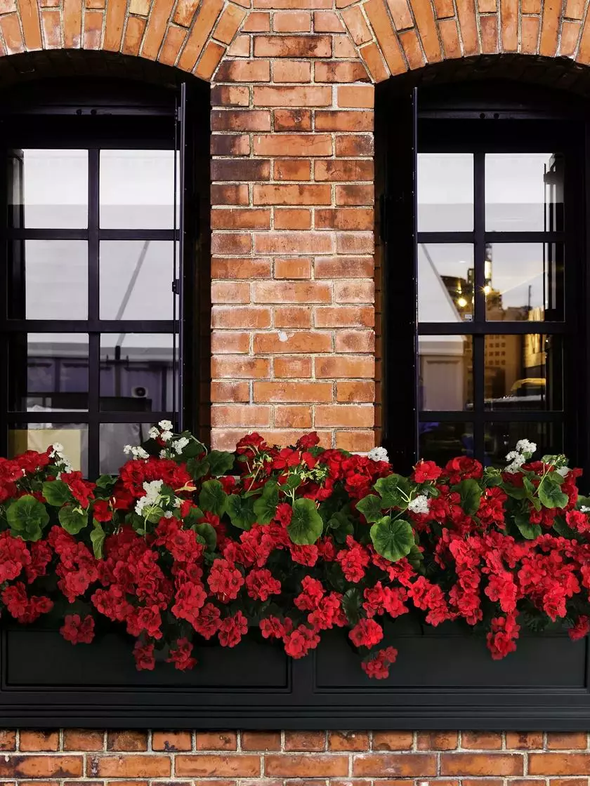 GSC Fairfield Self-Watering Window Box, 5’ 6 GSC Fairfield Self-Watering Window Box, 5’ - Image 4