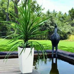 GSC Lechuza® Cubico Color Tall Self-Watering Planters