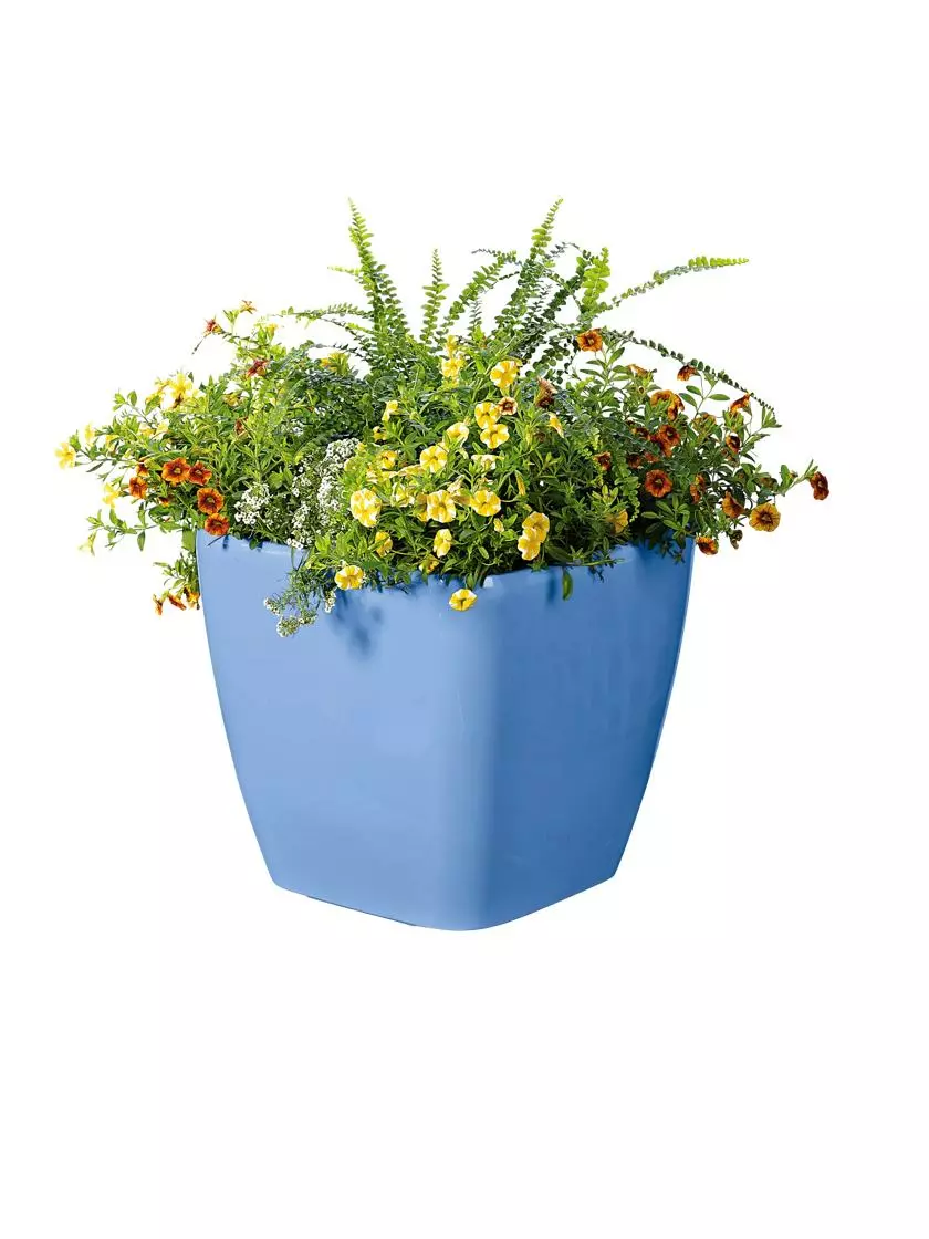 GSC Viva Square Self-Watering Rolling Planter, 14" Diameter 6 GSC Viva Square Self-Watering Rolling Planter, 14" Diameter - Image 4