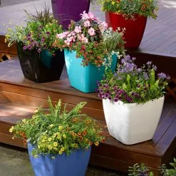 GSC Viva Square Self-Watering Rolling Planter, 14" Diameter