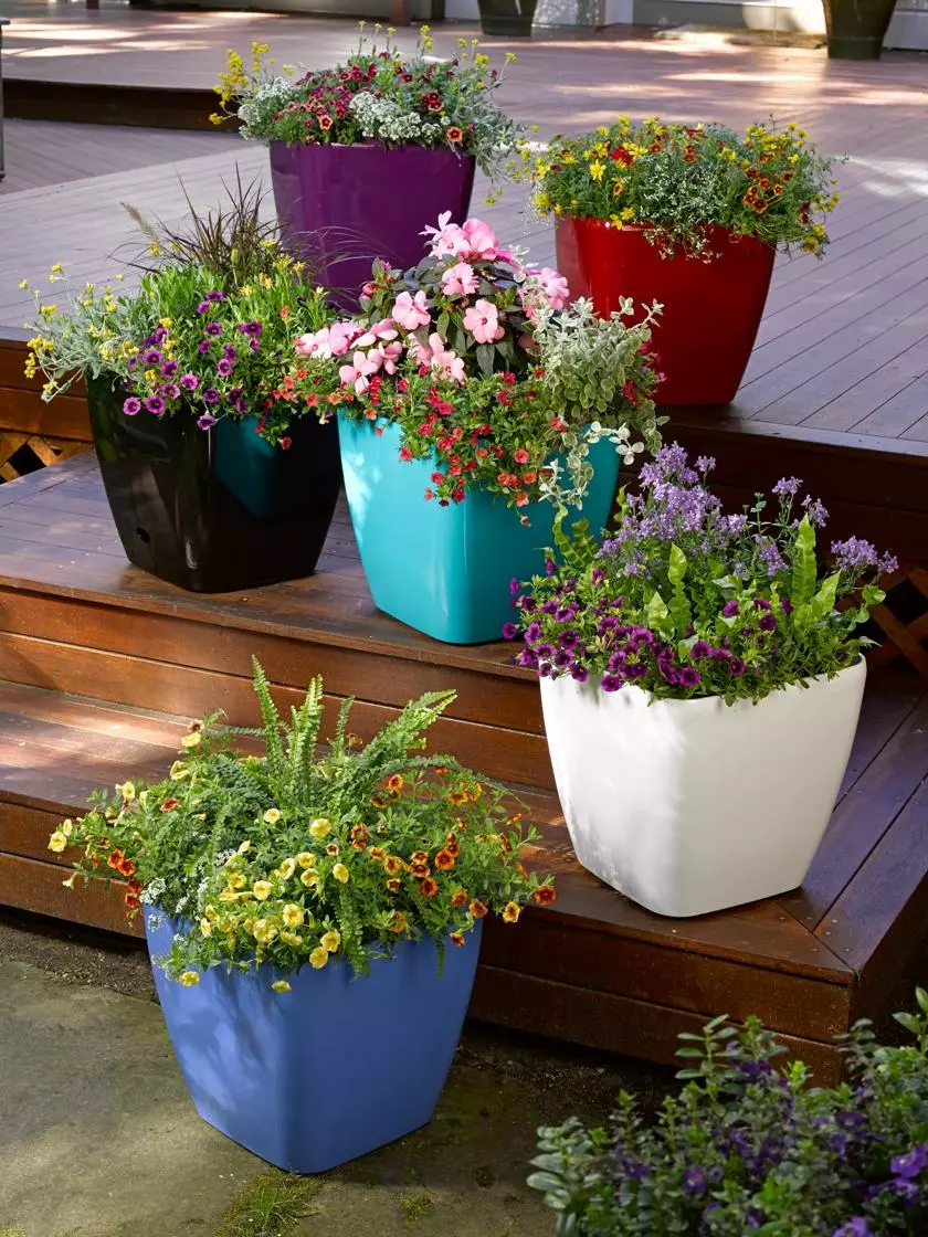 GSC Viva Square Self-Watering Rolling Planter, 14" Diameter 3 GSC Viva Square Self-Watering Rolling Planter, 14" Diameter