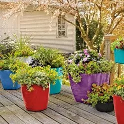 GSC Viva Round Self-Watering Rolling Planter, 14" Diameter 8 GSC Viva Round Self-Watering Rolling Planter, 14" Diameter -Plant Supports Shop 8589778 8000 tif